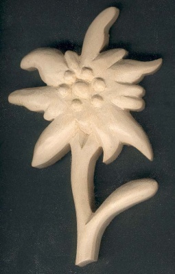 Edelweiss gesneden door de hand gewaxte natuur