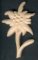 Edelweiss gesneden door de hand gewaxte natuur