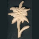 Edelweiss gesneden door de hand gewaxte natuur