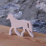 paardenthema, paardrijden, paardenmerk