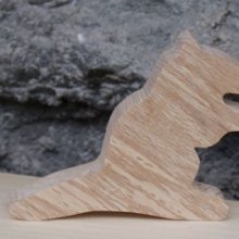 plaatskaart marmottenberg thema